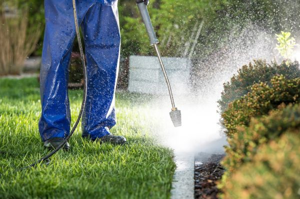 Cost of Curb Cleaning in Birmingham