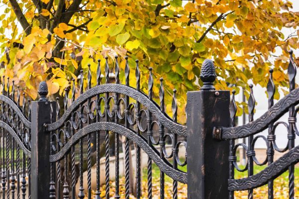 Cost of Wrought Iron Fence Washing in Birmingham