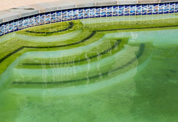 Cost of Pool Deck Algae Removal in Birmingham